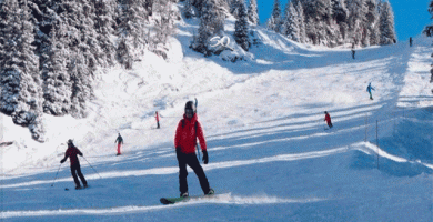 Muere Niña de 5 Años al ser Arrollada por un Esquiador